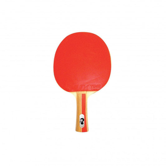 Paleta Ping Pong Master clásica